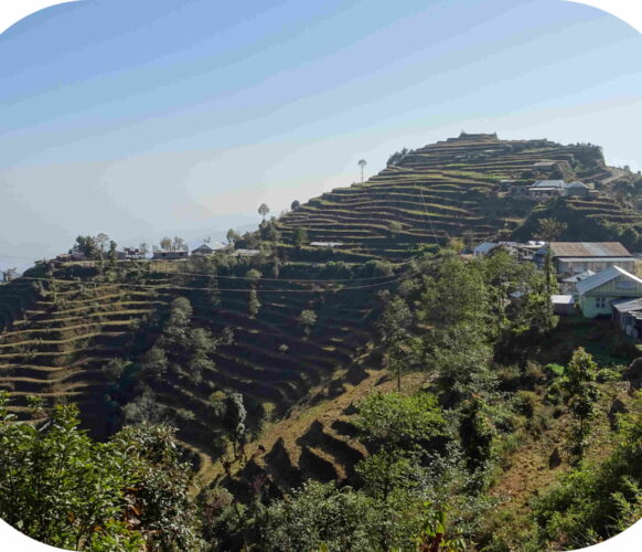 Randonnée - Trek Langtang - Nepal 20j-19n 2022_34