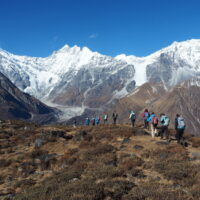 2211 AFDV Langtang Népal_182