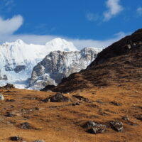 2211 AFDV Langtang Népal_184