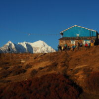 2211 AFDV Langtang Népal_233