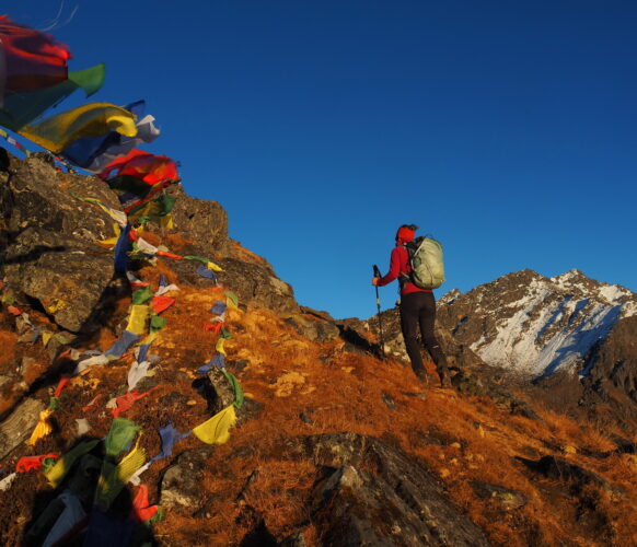 2211 AFDV Langtang Népal_274