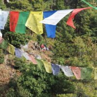 2211 AFDV Langtang Népal_30