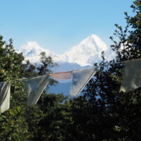 2211 AFDV Langtang Népal_311
