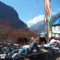 2211 AFDV Langtang Népal_69