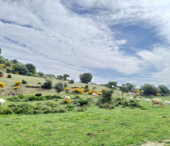 Randonnée - Entre mer et montagne Collioure - Cadaques - 7j-7n 2023_01