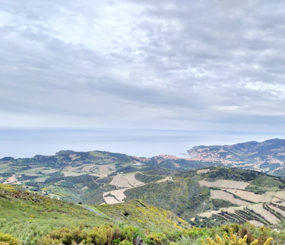 Randonnée - Entre mer et montagne Collioure - Cadaques - 7j-7n 2023_02