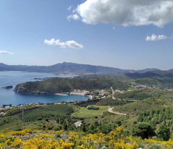 Randonnée - Entre mer et montagne Collioure - Cadaques - 7j-7n 2023_04