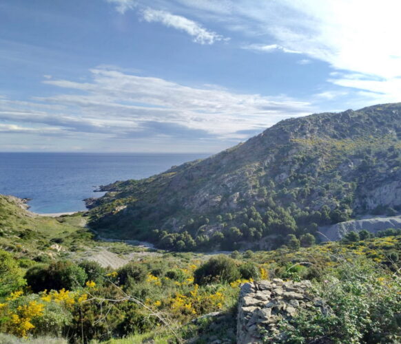 Randonnée - Entre mer et montagne Collioure - Cadaques - 7j-7n 2023_05