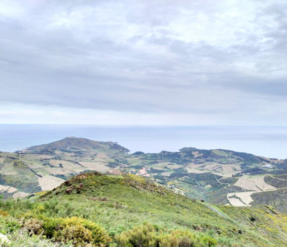 Randonnée - Entre mer et montagne Collioure - Cadaques - 7j-7n 2023_08