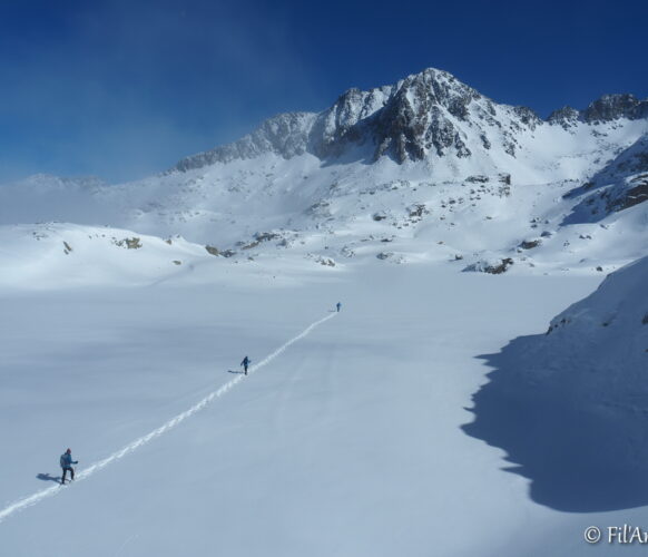 2302 AFDV Colomers_07