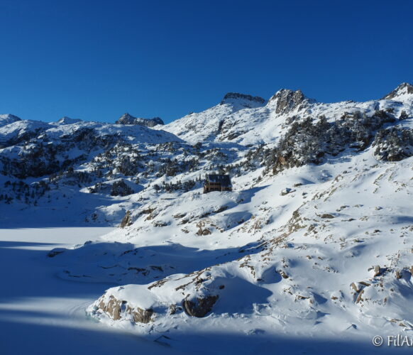 2302 AFDV Colomers_10