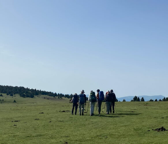 2406 Traversee Pyrenees GR11-576