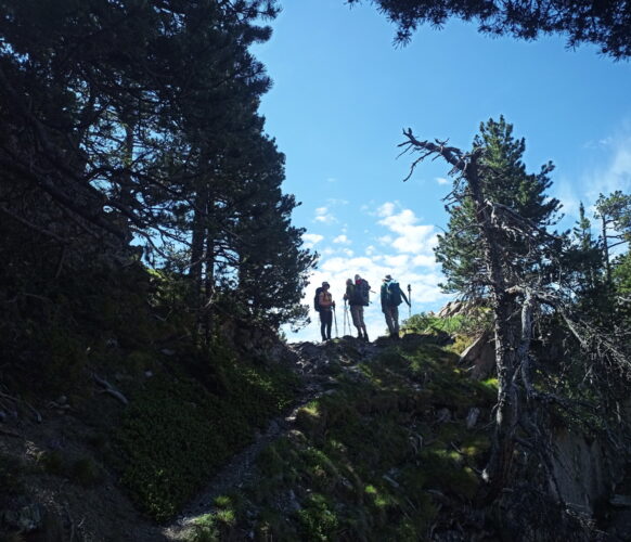2406 Traversee Pyrenees GR11-81