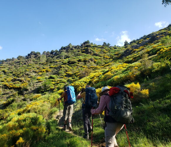 2406 Traversee Pyrenees GR11-110