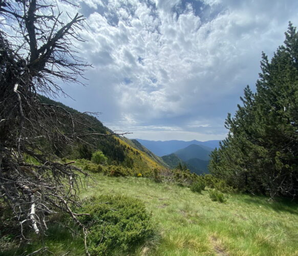 2406 Traversee Pyrenees GR11-136