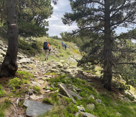 2406 Traversee Pyrenees GR11-143