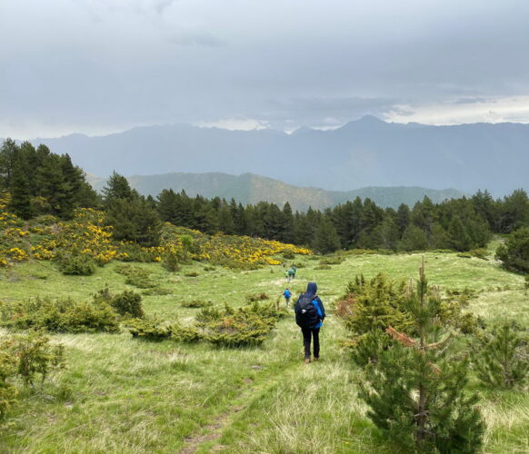 2406 Traversee Pyrenees GR11-150