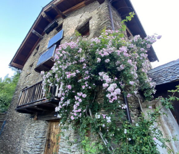 2406 Traversee Pyrenees GR11-194