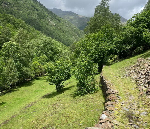 2406 Traversee Pyrenees GR11-217