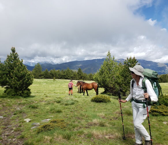 2406 Traversee Pyrenees GR11-251