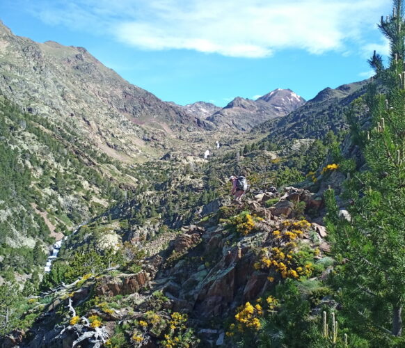 2406 Traversee Pyrenees GR11-261