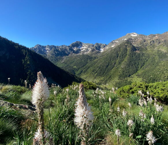 2406 Traversee Pyrenees GR11-299