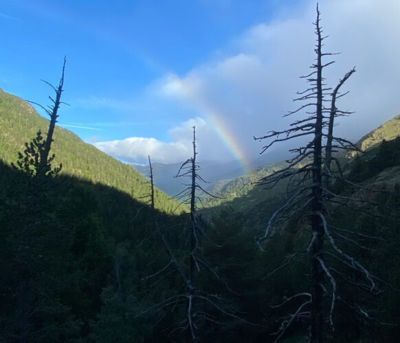 2406 Traversee Pyrenees GR11-359