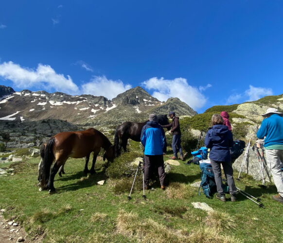 2406 Traversee Pyrenees GR11-391