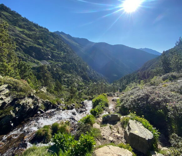 2406 Traversee Pyrenees GR11-530