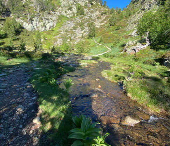 2406 Traversee Pyrenees GR11-531