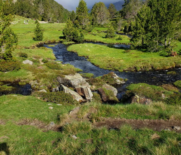 2406 Traversee Pyrenees GR11-536