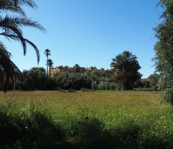 Séjour Maroc-10