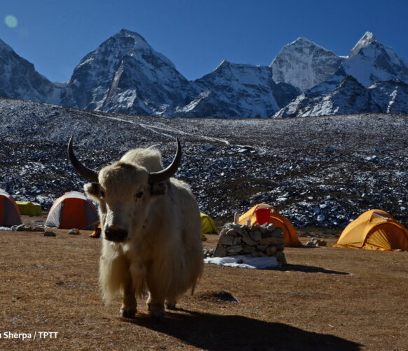 2510 Trek everest AFDV_21