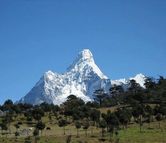 2510 Trek everest AFDV_32