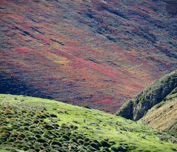 2110 AFDV BRame Salode_26