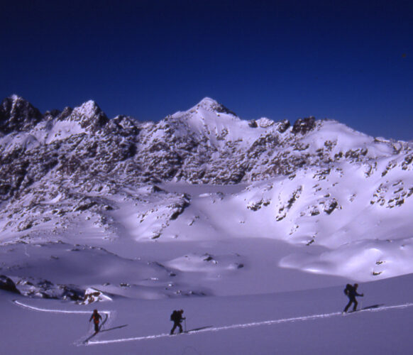 raid_encantats (4)