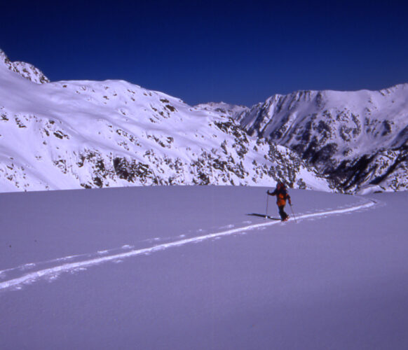raid_encantats (6)